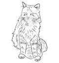 Realistic cat sitting drawing in black isolated on white background. Hand drawn vector sketch illustration in doodle simple Royalty Free Stock Photo