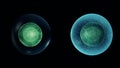 Realistic cell division on a dark background