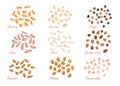 Realistic cereal grains and oil seeds vector set Royalty Free Stock Photo