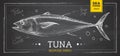 Realistic chalk drawing tuna fish. Seafood menu design