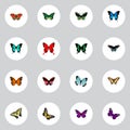 Realistic Checkerspot, Danaus Plexippus, Morpho Hecuba And Other Vector Elements. Set Of Moth Realistic Symbols Also Royalty Free Stock Photo