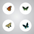 Realistic Checkerspot, Demophoon, Tropical Moth And Other Vector Elements. Set Of Moth Realistic Symbols Also Includes