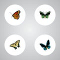 Realistic Checkerspot, Demophoon, Tropical Moth And Other Vector Elements. Set Of Moth Realistic Symbols Also Includes Royalty Free Stock Photo