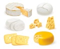 Realistic cheese. 3d Cheeses kinds, slice piece and whole cheddar hard edam raw cottage white mascarpone gouda block