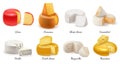 Realistic Cheese Icon Set