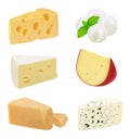 Realistic cheese. Pieces of delicious gourmet food variety mozzarella natural healthy milk products holland cheese