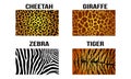 Realistic Cheetah Leopard Giraffe Zebra Tiger Vector Skin Pattern Texture Royalty Free Stock Photo