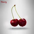 Realistic cherry branch, sweet cherry, ripe 3D realistic cherry on white background