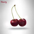 Realistic cherry branch, sweet cherry, ripe 3D realistic cherry on white background Royalty Free Stock Photo