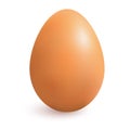 Realistic chicken brown egg with shadow.Vector illustration.