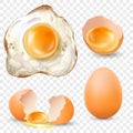 Realistic chicken eggs vector set icon isolated on transparent background. Detailed fried egg top view, broken, fresh Royalty Free Stock Photo