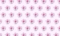 Realistic chinese pink sakura pattern on soft rose background. Oriental textile design template flower blossom spring