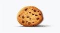 Realistic Chocolate Chip Cookie Vector Illustration Mockup