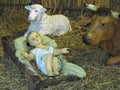 Realistic christmas nativity scene with figurines including Jesus and animals Royalty Free Stock Photo