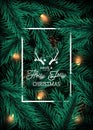 Realistic Christmas tree branches background with lighting garland. Royalty Free Stock Photo