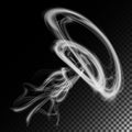 Realistic Cigarette Smoke Waves Vector. Smoke Or Steam Texture, Created With Gradient Mesh. Smoke Isolated Over Black. Smoke Rings Royalty Free Stock Photo