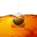 Vector realistic circle teabag dipped into water