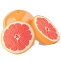 Realistic citrus image. Red oranges fruits and slices isolated on white background. Grapefruit Royalty Free Stock Photo