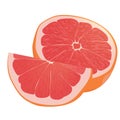 Realistic citrus image. Red oranges fruits and slices isolated on white background. Grapefruit Royalty Free Stock Photo