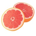 Realistic citrus image. Red oranges fruits and slices isolated on white background. Grapefruit Royalty Free Stock Photo