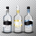 Realistic Classic Vodka Glass Bottle for Alcoholic Drink Bottles