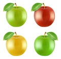 Realistic closeup apple. 3d natural sweet red green yellow apples models kit vector illustration on white