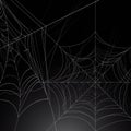 realistic cobweb with gradient design illustration