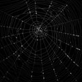 realistic cobweb with gradient green background design illustration
