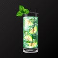 Realistic cocktail mojito glass vector illustration
