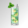 Realistic cocktail mojito glass vector illustration