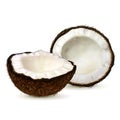 Realistic coconut isolated