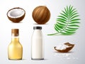 Realistic coconut products. 3d exotic plant, green palm leaf, half and whole coconut, chips, milk and butter in glass