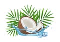 Realistic coconut in water splash, vector palm leaves and ice cubes isolated on white background