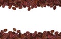 Realistic coffee beans background with white area for copy space Royalty Free Stock Photo