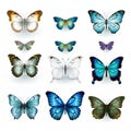 Realistic Collection Of Butterflies: Free Vector On White Background