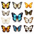 Realistic Collection Of Colorful Butterflies On Transparent Background