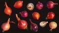 Realistic collection of various colorful onions on dark background Royalty Free Stock Photo