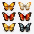 Realistic Colored Butterflies On Transparent Background - Detailed 3d Designs