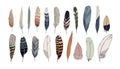 Realistic colored feathers set. Vector illustration Royalty Free Stock Photo