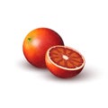 Realistic colored juicy slice of red orange. half of colorful bloody orange and whole round fruit on white background