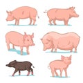 Realistic colored sketch vector illustration of farm pigs