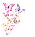 Realistic Colorful Butterflies Isolated for Spring