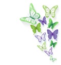 Realistic Colorful Butterflies Isolated for Spring