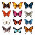 Realistic Colorful Butterflies: Lifelike Figures With Symbolic Elements