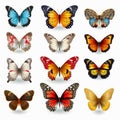 Realistic Colorful Butterflies On Transparent Background Royalty Free Stock Photo