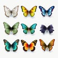 Realistic Colorful Butterfly Set On White Background Vector Illustration Royalty Free Stock Photo