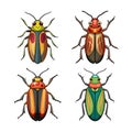 Realistic Colorful Eyed Click Beetle Illustration Royalty Free Stock Photo