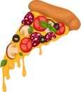 Realistic colorful pizza slice with tomato, mushrooms and olives template