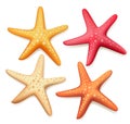 Realistic Colorful Starfish Set in White Background