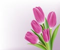 Realistic Colorful Tulips in Background